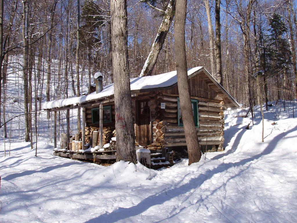 Bondi Village Cottage Resort Lake of Bays Exteriér fotografie